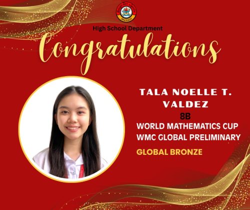 HS Students wins medals and distinctions from WMC Preliminary