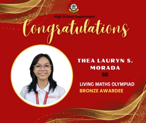 HS Students wins medals and distinctions from WMC Preliminary