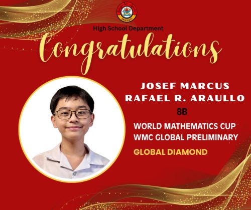 HS Students wins medals and distinctions from WMC Preliminary