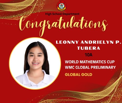 HS Students wins medals and distinctions from WMC Preliminary