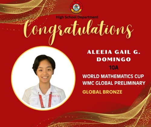 HS Students wins medals and distinctions from WMC Preliminary